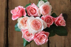 バラの季節や開花時期はいつ?見頃からお手入れの方法まで紹介