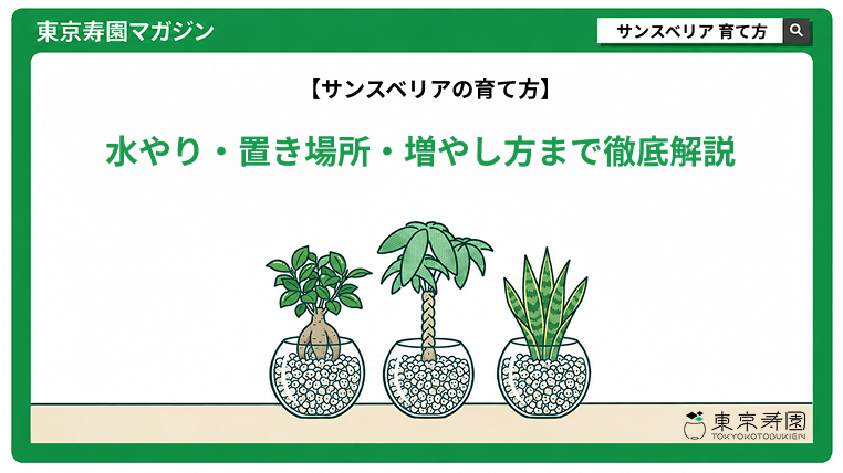 サンスベリアの育て方|水やり・置き場所・増やし方まで徹底解説