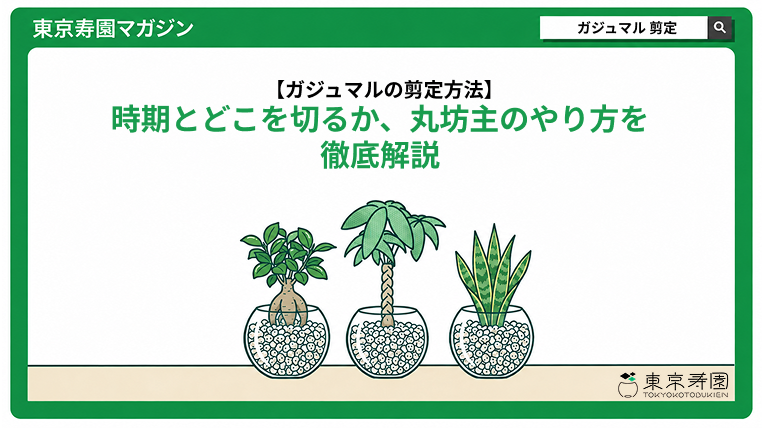 ガジュマルの剪定方法|時期とどこを切るか、丸坊主のやり方を解説