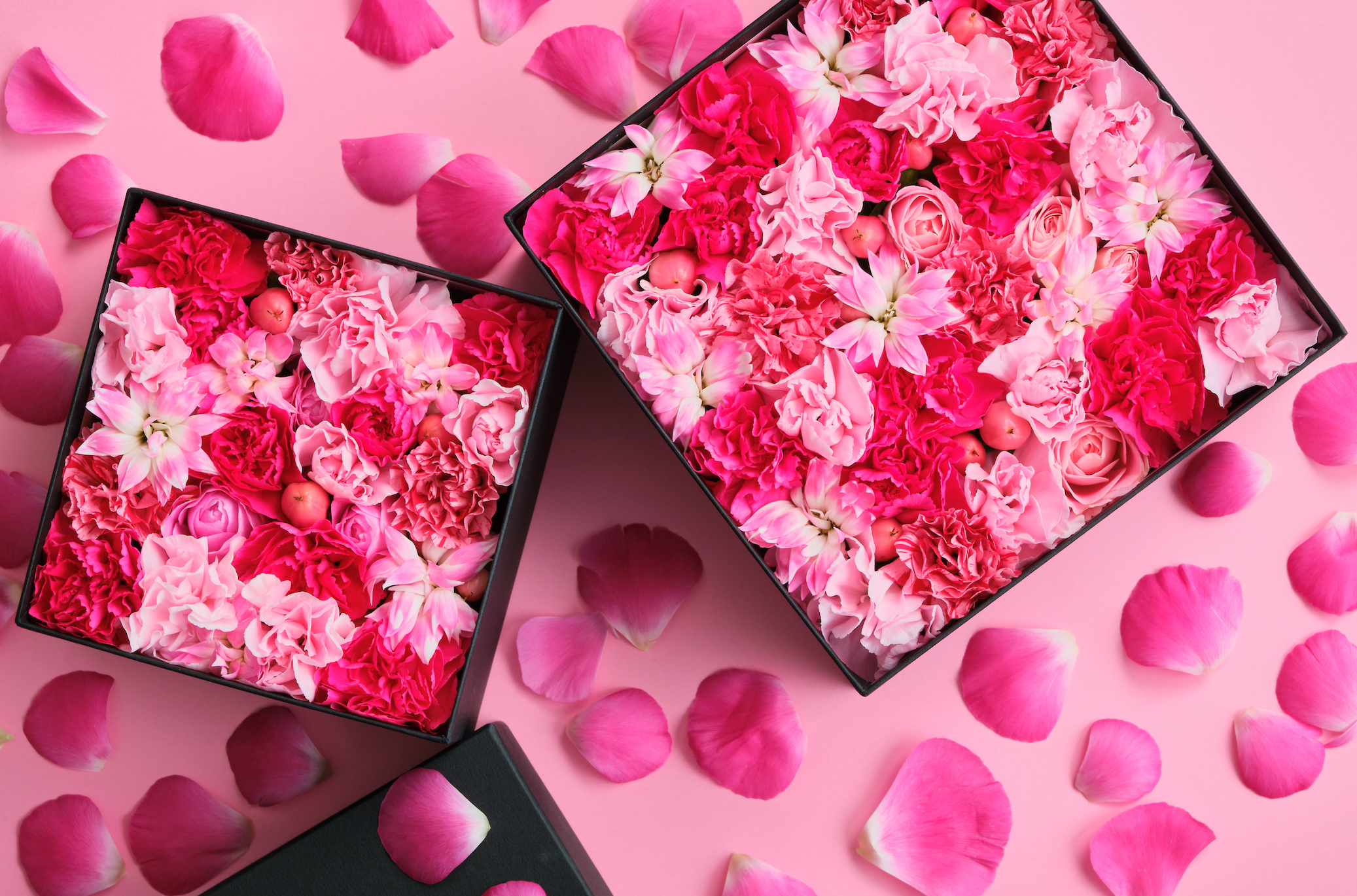 東京寿園の母の日ポップアップを開催!@二子玉川蔦屋家電