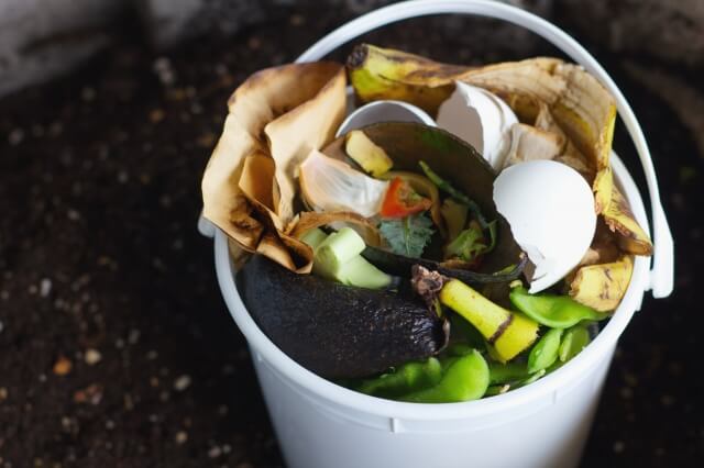 生ゴミから肥料は作れる!コンポストで生ゴミを肥料にする方法を紹介