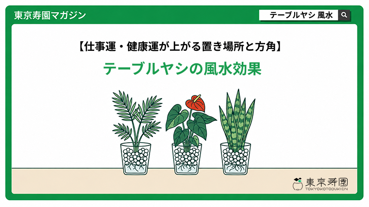 テーブルヤシの風水効果|仕事運・健康運が上がる置き場所と方角