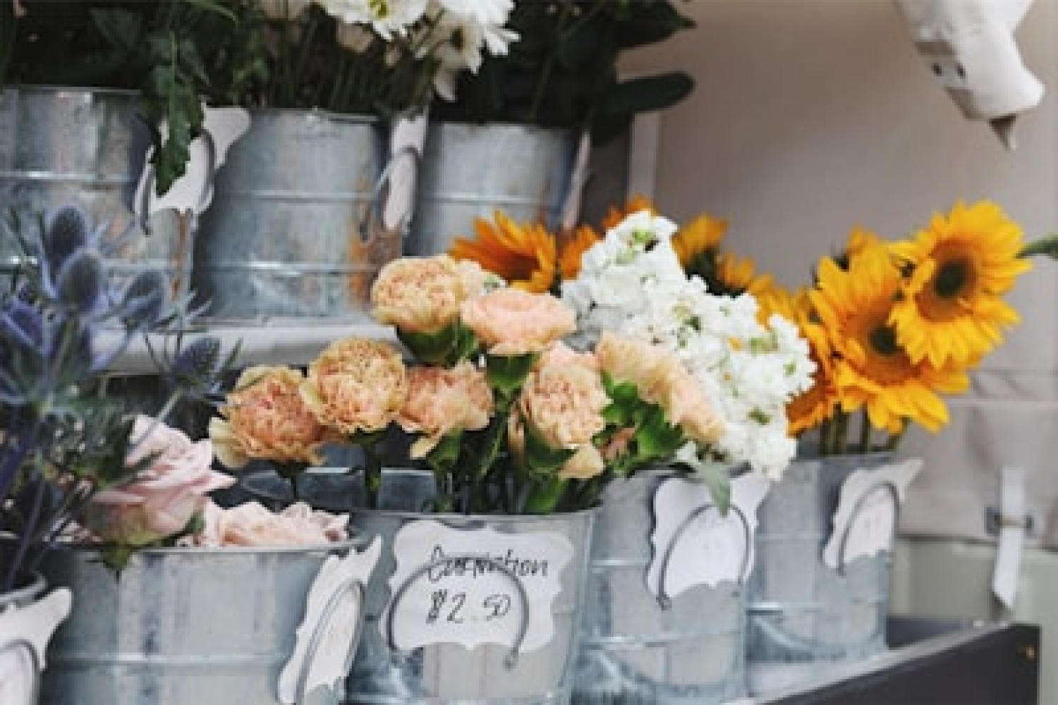 【2025年】ガラスドームのプリザーブドフラワーのおすすめ15選!