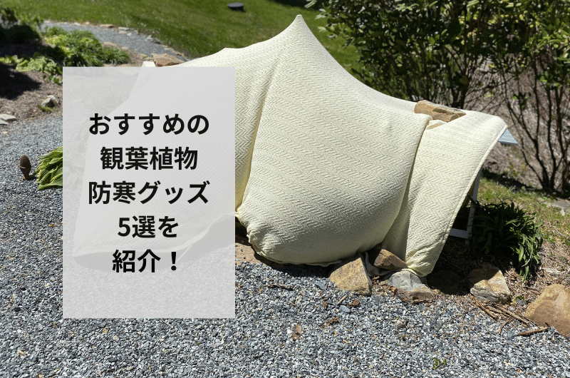 観葉植物 防寒 グッズ