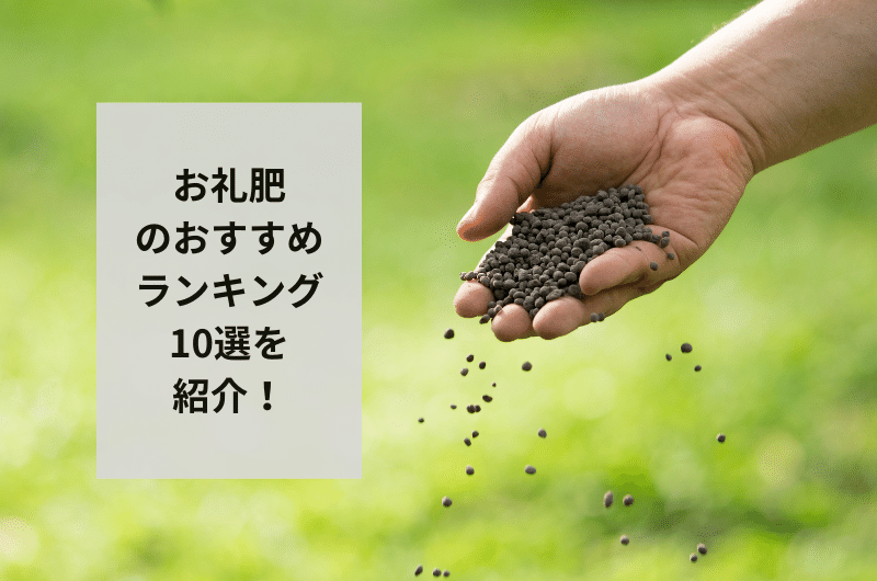 お礼肥 おすすめ