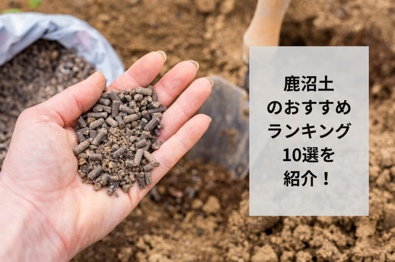 鹿沼土 おすすめ ランキング