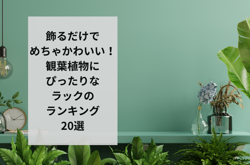 飾るだけでめちゃかわいい！観葉植物にぴったりなラックのランキング20選 – 東京寿園
