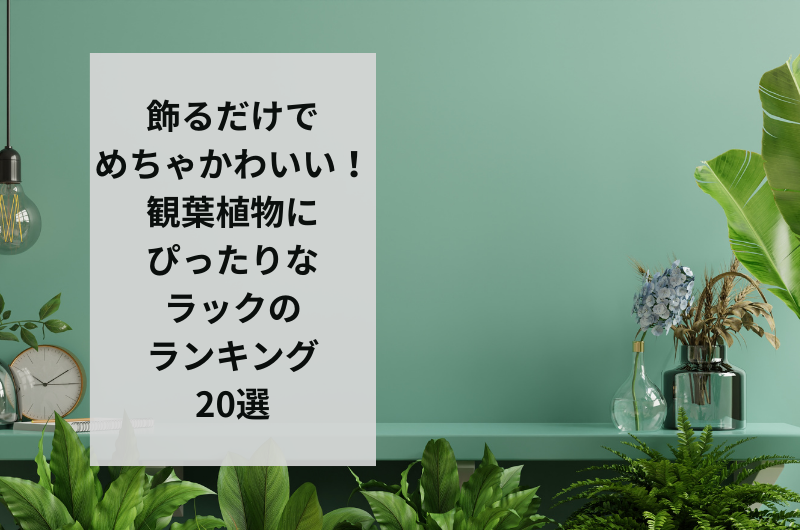 飾るだけでめちゃかわいい！観葉植物にぴったりなラックのランキング20 ...