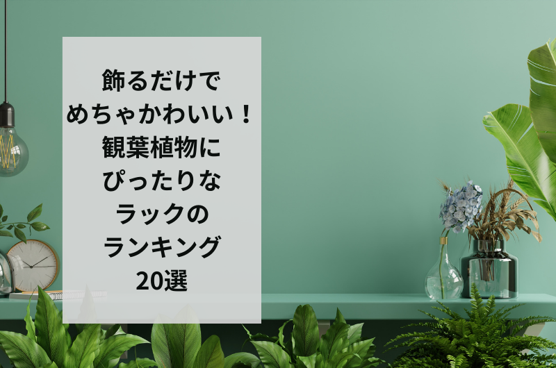 飾るだけでめちゃかわいい!観葉植物にぴったりなラックのランキング20選