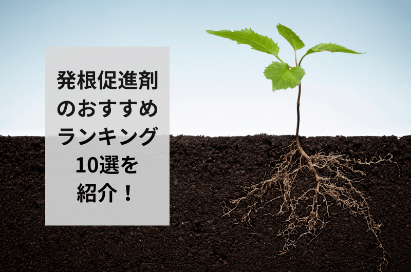 【2024年】発根促進剤のおすすめ10選を紹介!失敗しない使い方まで