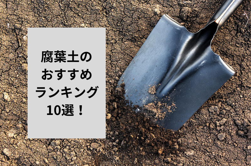 【2024年】腐葉土のおすすめランキング10選を紹介!失敗しない使い方まで