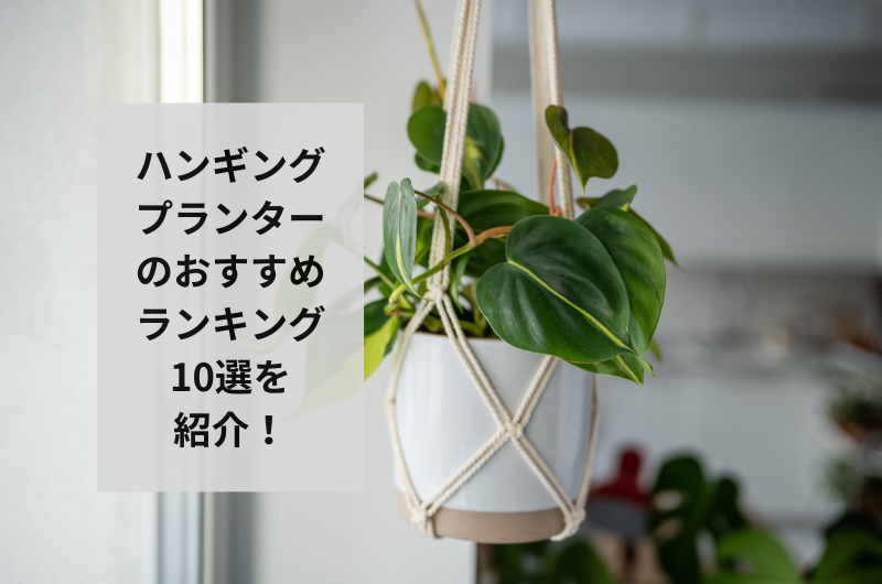 【2024年】ハンギングプランターのおすすめランキング10選!選び方まで紹介