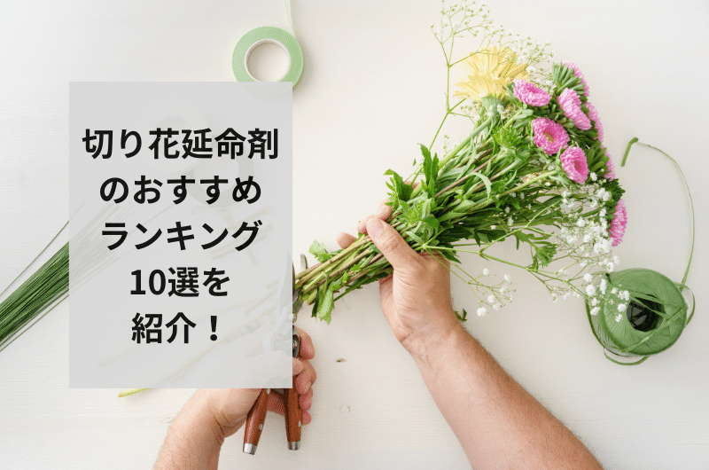 【2024年】切り花延命剤のおすすめランキング10選を紹介!選び方まで