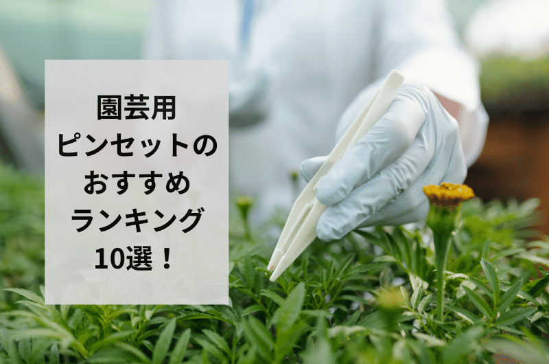 【2024年】園芸用ピンセットのおすすめランキング10選を紹介!選び方まで