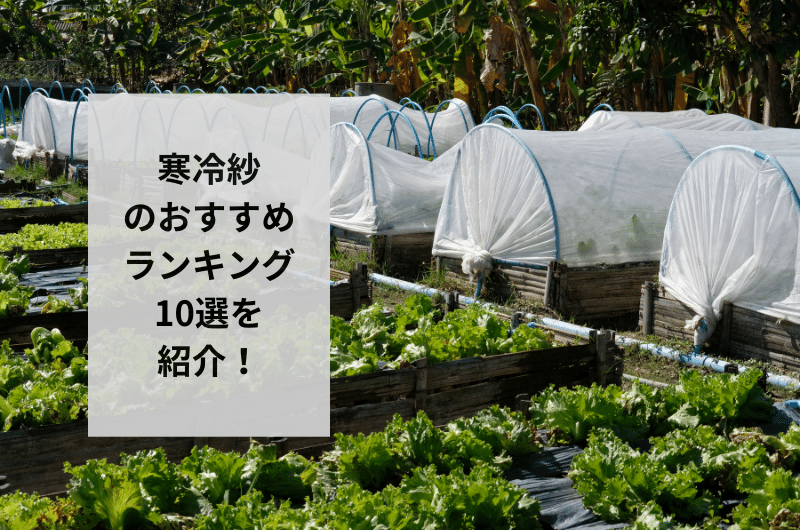 【2024年】寒冷紗のおすすめランキング10選を紹介!効果的な活用方法まで
