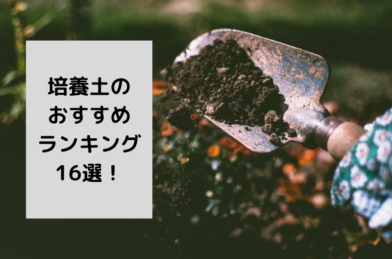 【2024年】培養土のおすすめ16選を紹介!失敗しない選び方や使い方