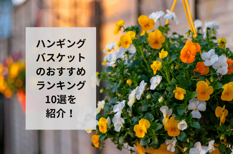 2024年】ハンギングバスケットのおすすめランキング10選を紹介！お 