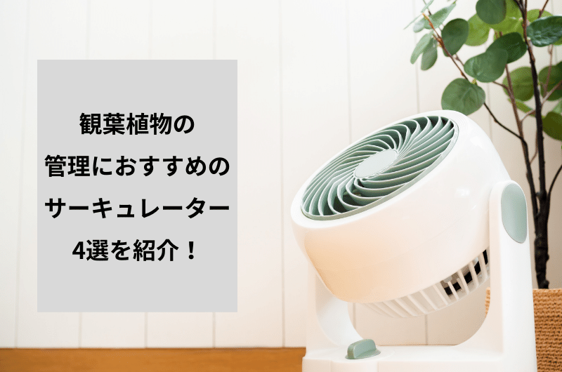 観葉植物におすすめのサーキュレーター4選