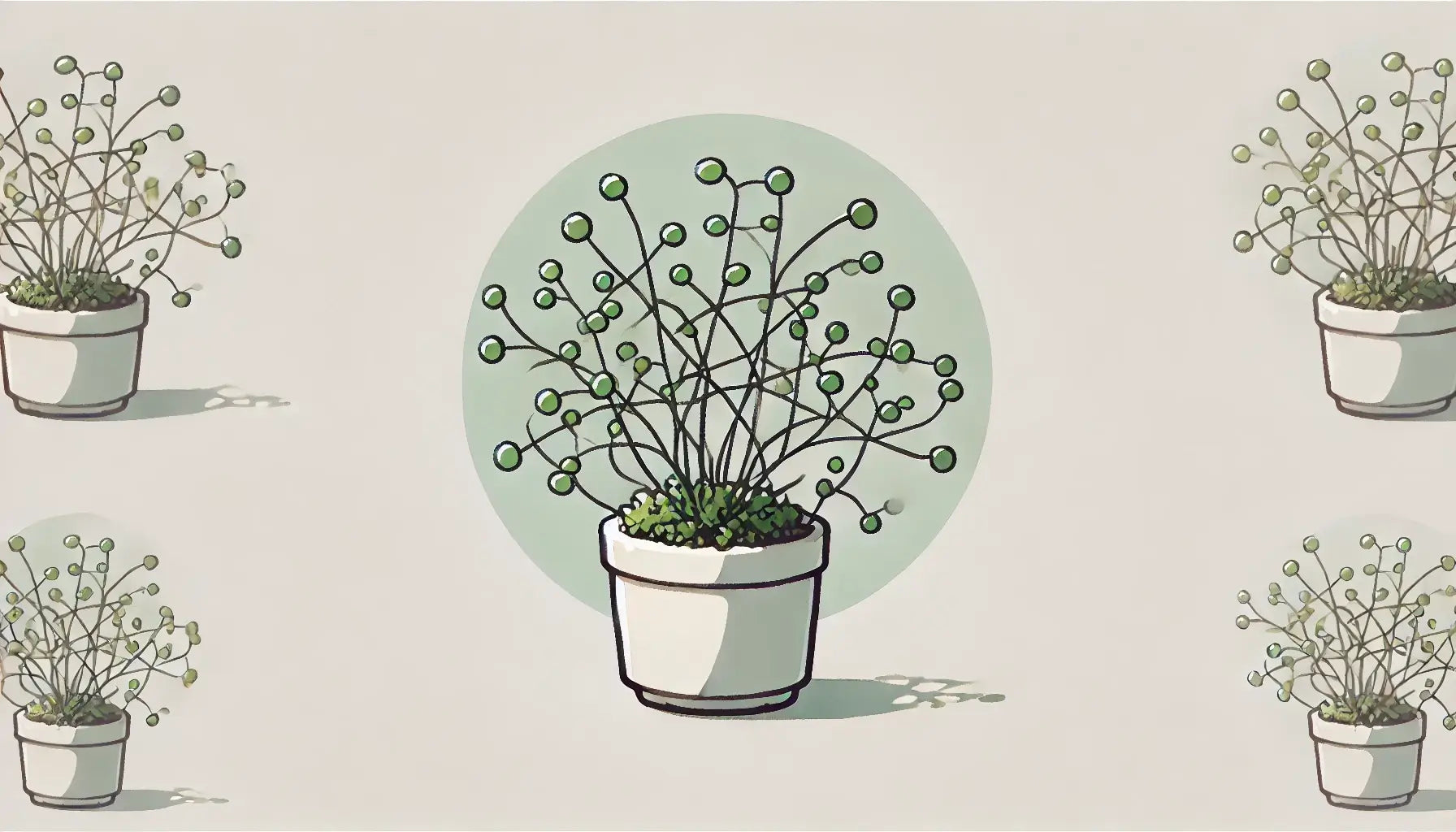 ワイヤープランツの育て方!正しい水やりや植え替えを徹底紹介