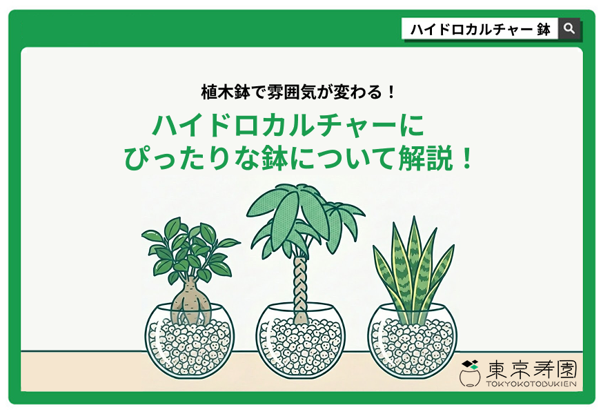 ハイドロカルチャー 鉢