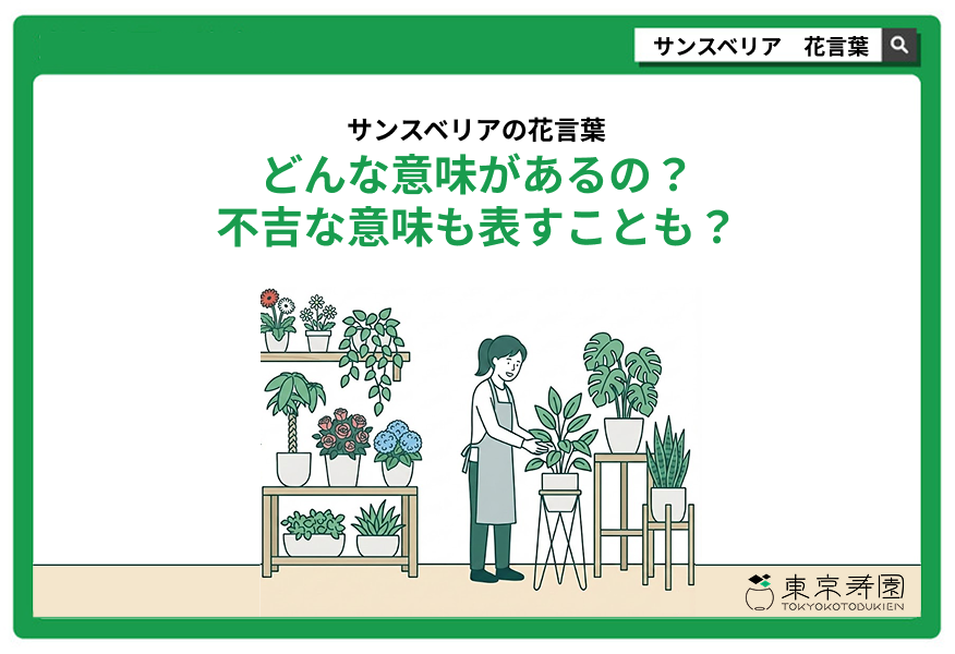サンスベリア 花言葉