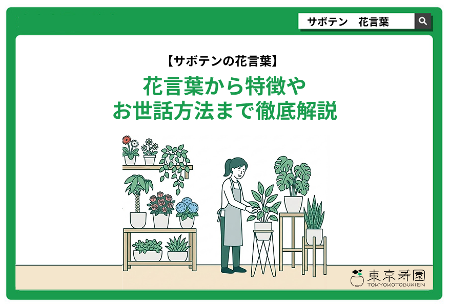 サボテン 花言葉