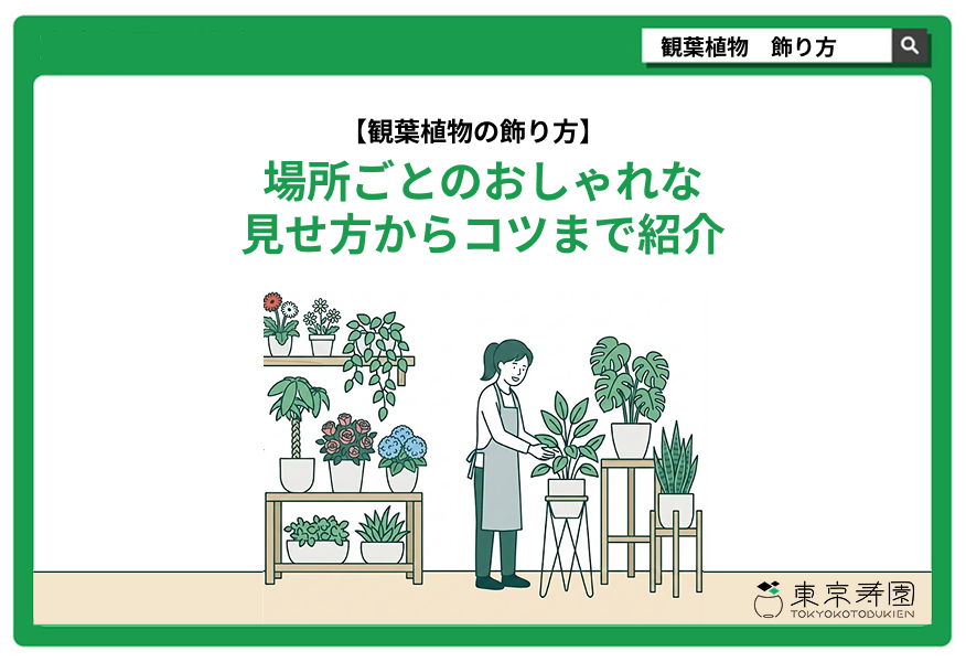 観葉植物 飾り方