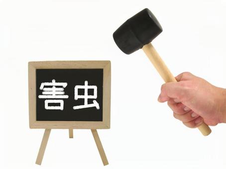 【2025年】ムカデ対策用品のおすすめランキング10選を紹介!使い方まで