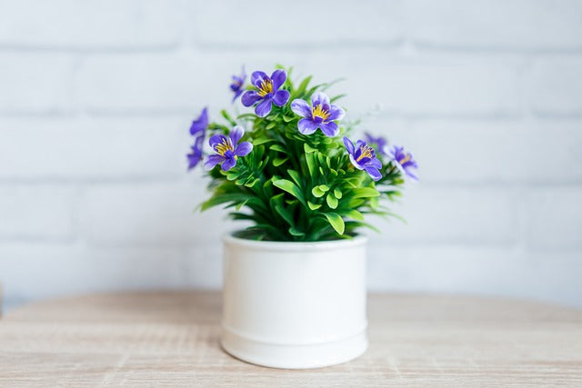 【2025年】鉢のおすすめランキング10選を紹介!寄せ植えのコツまで
