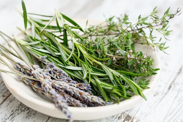ハーブの正しい水やりとは?注意点や季節・植え方別の方法を紹介