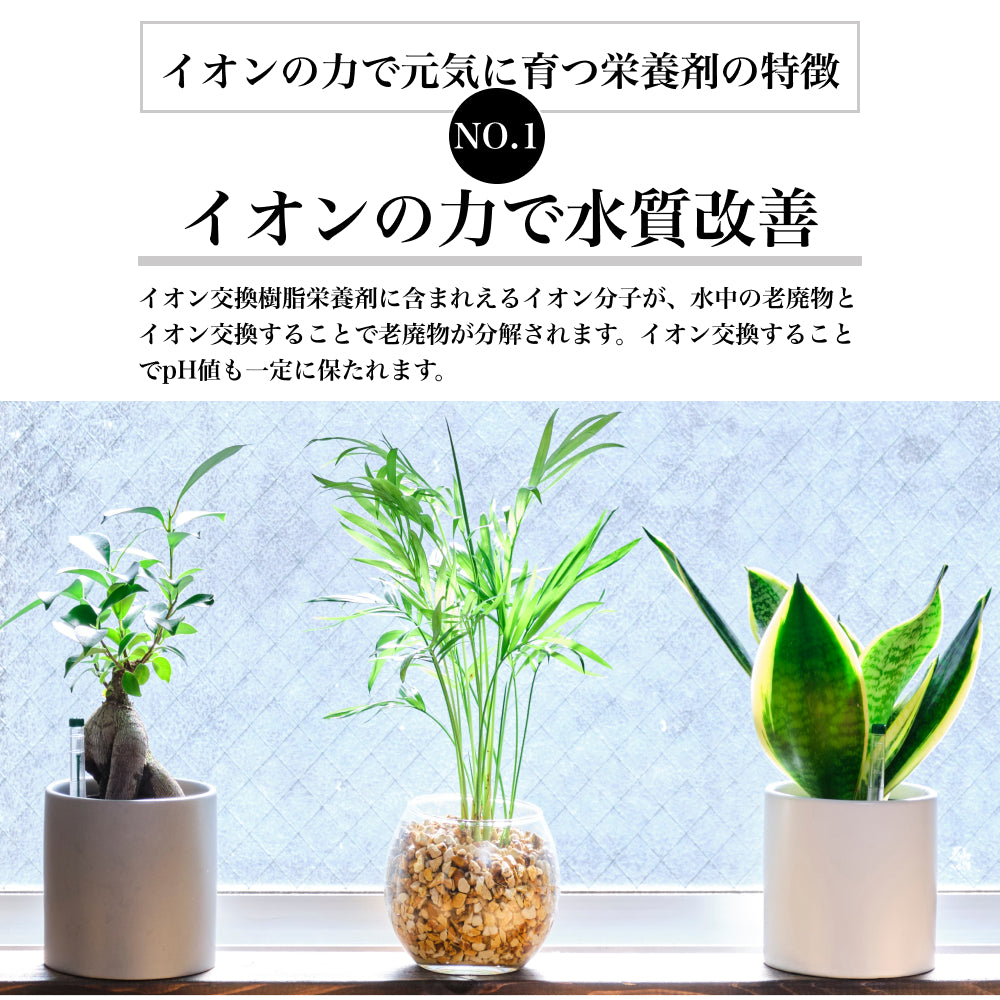 イオンの力で元気に育つ栄養剤 イオン交換樹脂栄養剤 観葉植物用 ハイドロカルチャー用 根腐れ防止剤 粒状肥料 顆粒