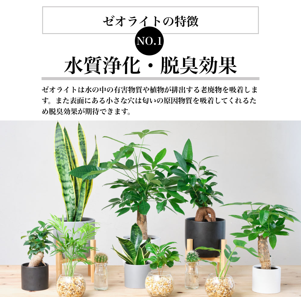 ゼオライト 2L 国産 天然 吸着 水質浄化 園芸 水槽 ハイドロカルチャー用