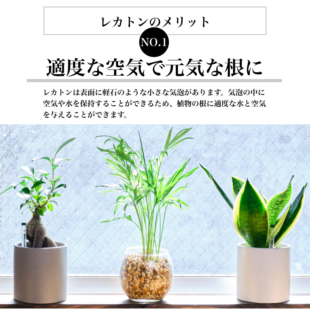 レカトン 2L 中粒(約5~8mm) ハイドロボール ハイドロカルチャー用 水耕栽培 水槽 再利用可能