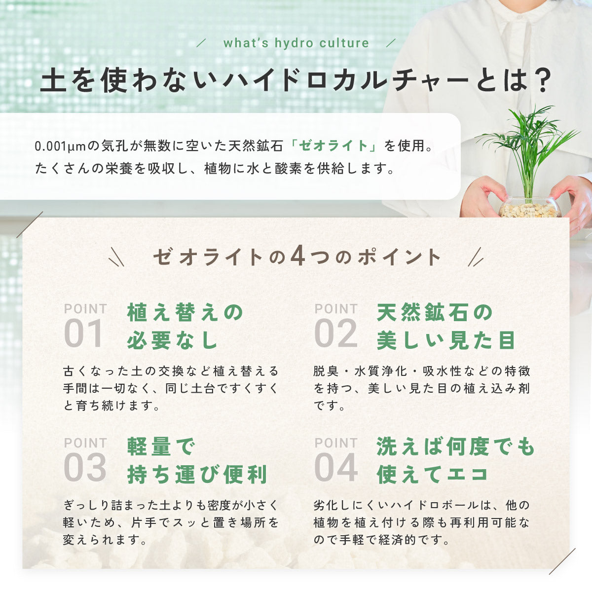 ガラスボールの育てるインテリア・選べる2点セット