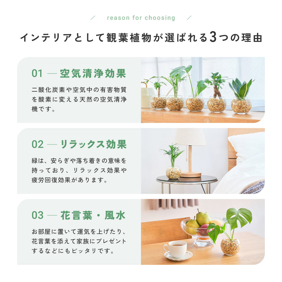 ガラスボールの育てるインテリア・選べる2点セット