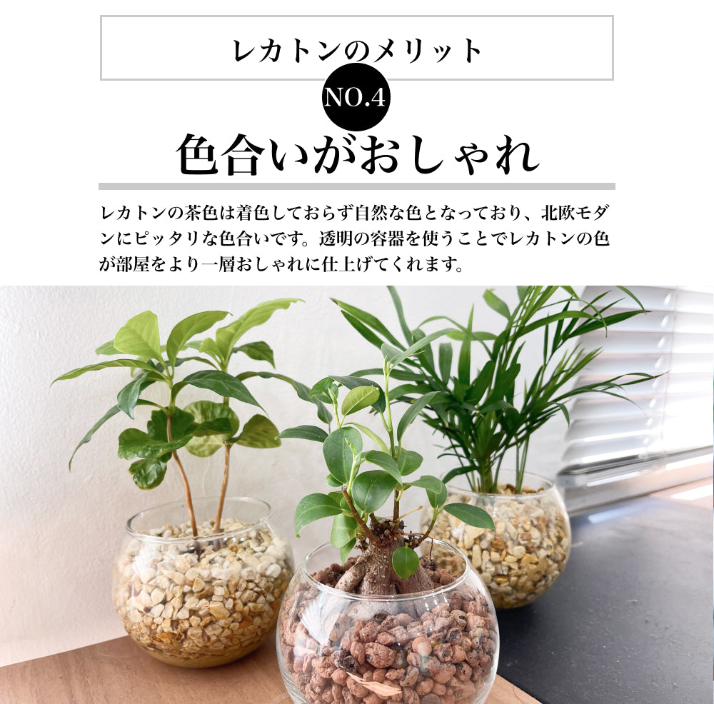 レカトン 2L 中粒(約5~8mm) ハイドロボール ハイドロカルチャー用 水耕栽培 水槽 再利用可能