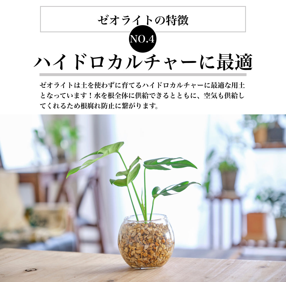 ゼオライト 2L 国産 天然 吸着 水質浄化 園芸 水槽 ハイドロカルチャー用