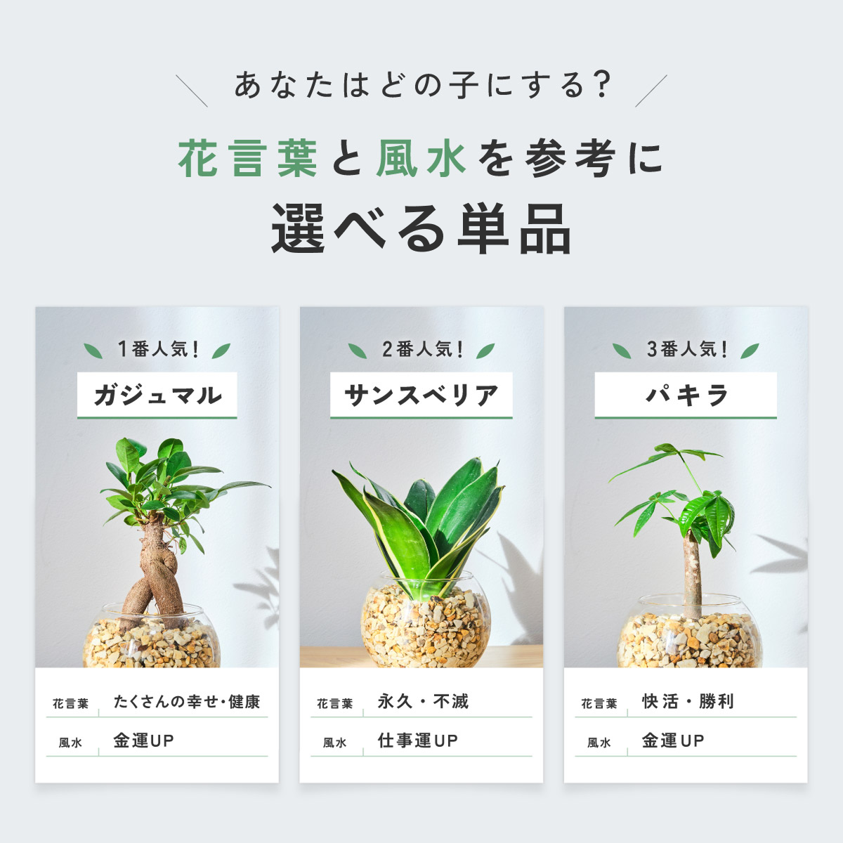 ガラスボールの育てるインテリア・選べる単品