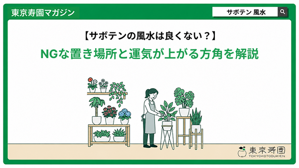 サボテンの風水は良くない？NGな置き場所と運気が上がる方角を解説