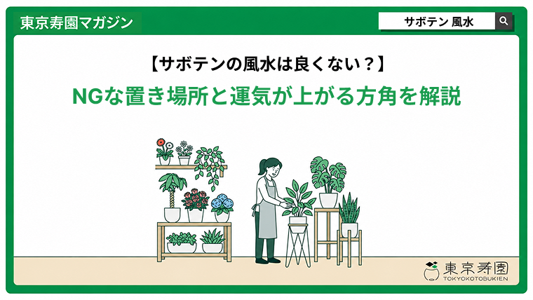 サボテンの風水は良くない？NGな置き場所と運気が上がる方角を解説