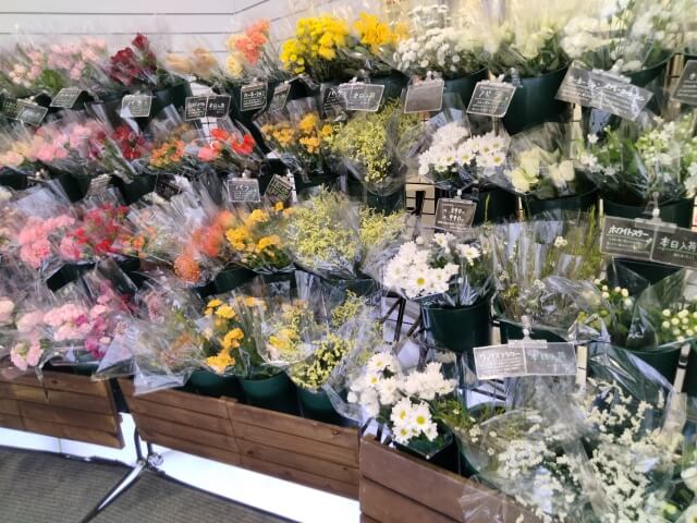 【フラワーデザイナー厳選】福井にあるおしゃれでおすすめのお花屋さん6選