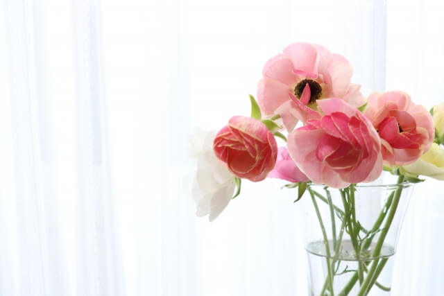 ラナンキュラスの切り花を紹介！長持ちさせる方法からおすすめの品種まで