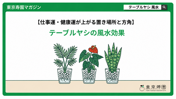 テーブルヤシの風水効果｜仕事運・健康運が上がる置き場所と方角