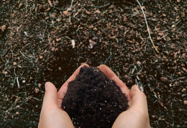 家庭で簡単に肥料を作れる！作り方や肥料に使われるものを紹介