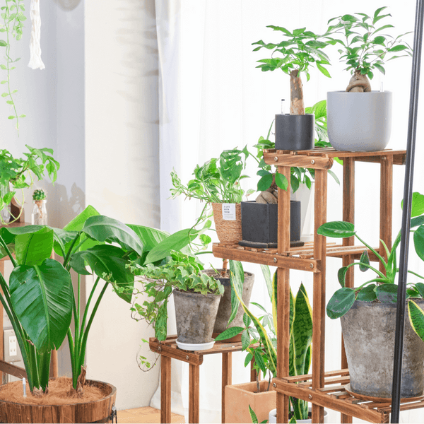 thha__ thha ザー植木鉢 鉢 thha__ thha ザー植木鉢 鉢