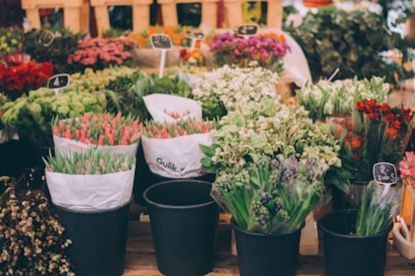 【フラワーデザイナー厳選】足利市にあるおしゃれでおすすめのお花屋さん5選