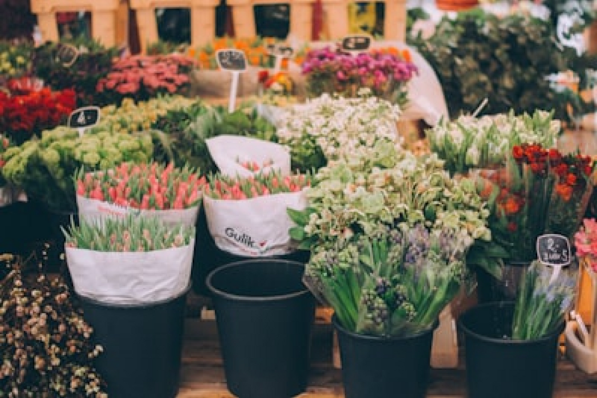 【フラワーデザイナー厳選】ときわ台にあるおしゃれでおすすめのお花屋さん7選