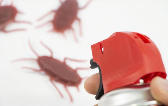 【2024年】ゴキブリ用スプレーのおすすめランキング10選を紹介！安全な使用法まで