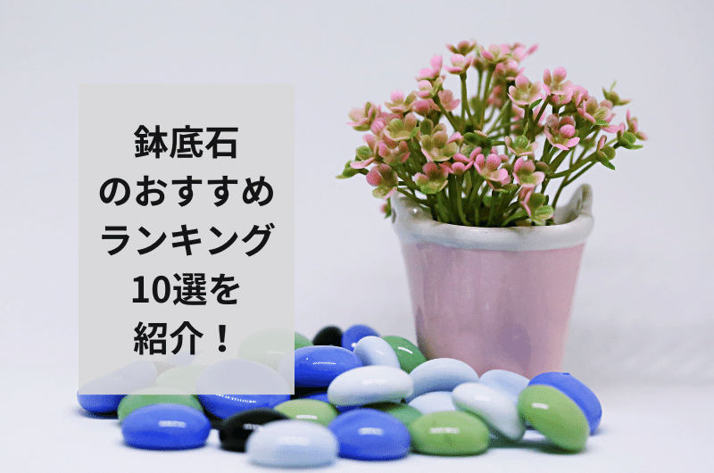 【2024年】鉢底石のおすすめランキング10選を紹介！失敗しない選び方まで