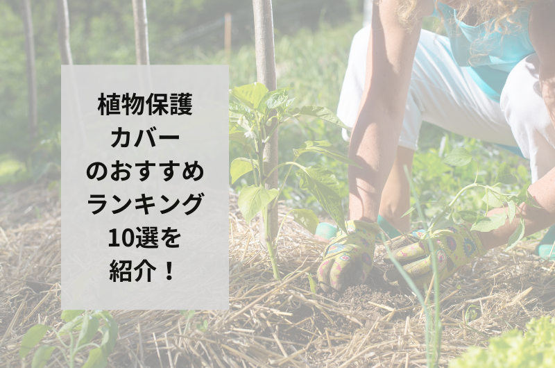 【2025年】植物保護カバーのおすすめランキング10選を紹介！失敗しない使い方まで
